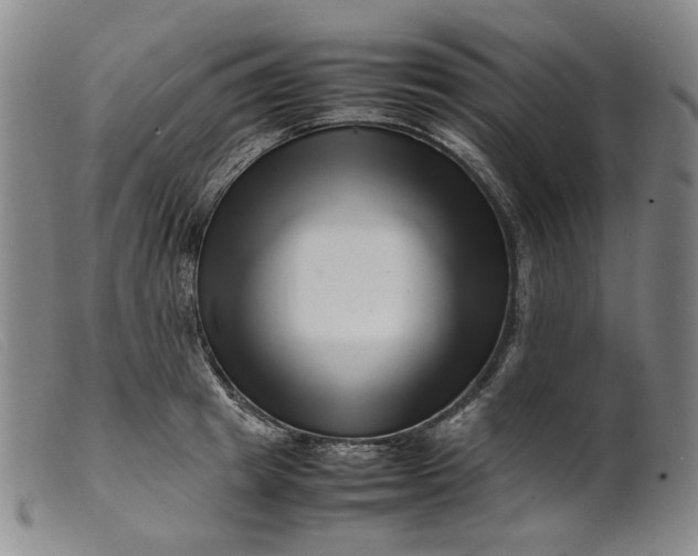 X0000099460849200805231804