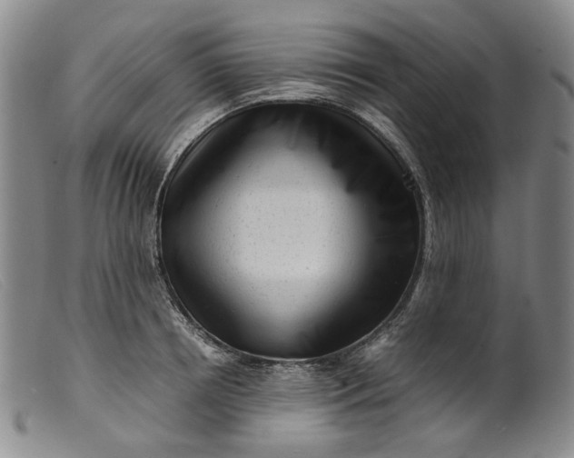 X0000099460850200805231804