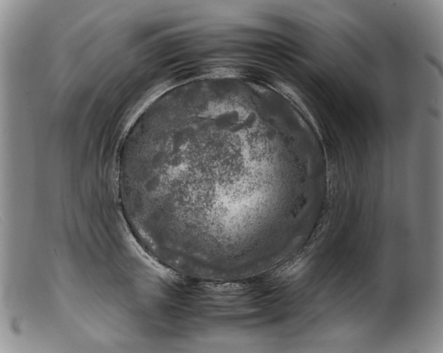 X0000099460851200805231804