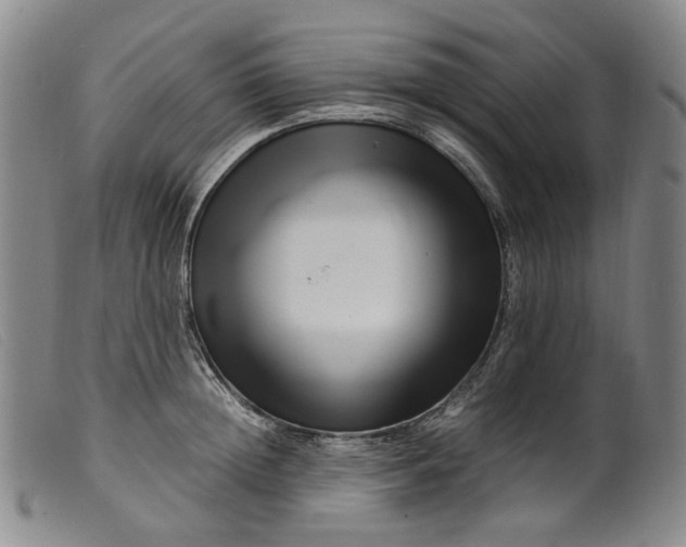 X0000099460852200805231804