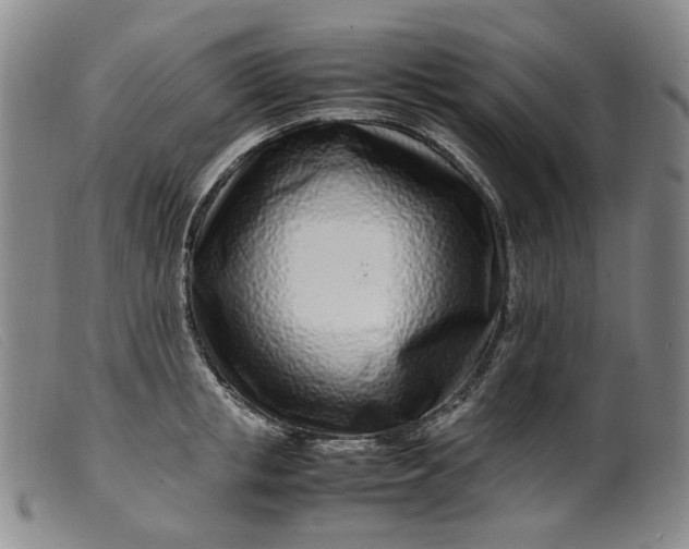 X0000099460853200805231804