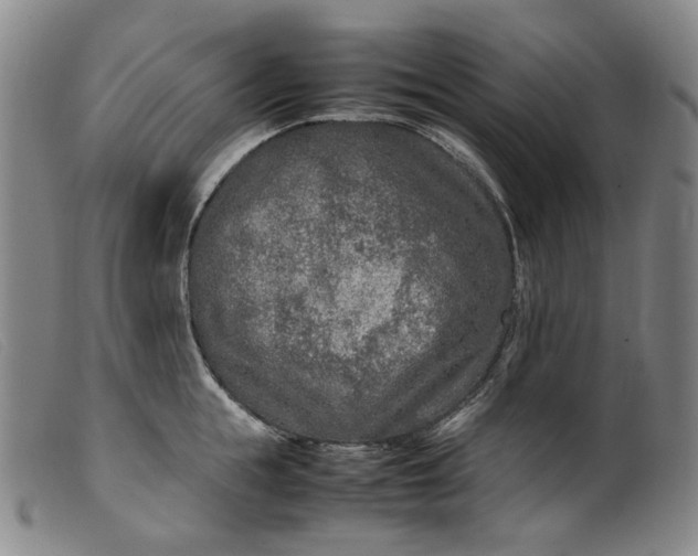 X0000099460855200805231804