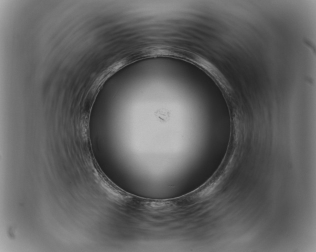 X0000099460857200805231804