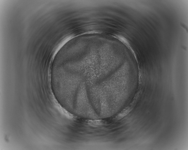 X0000099460859200805231804