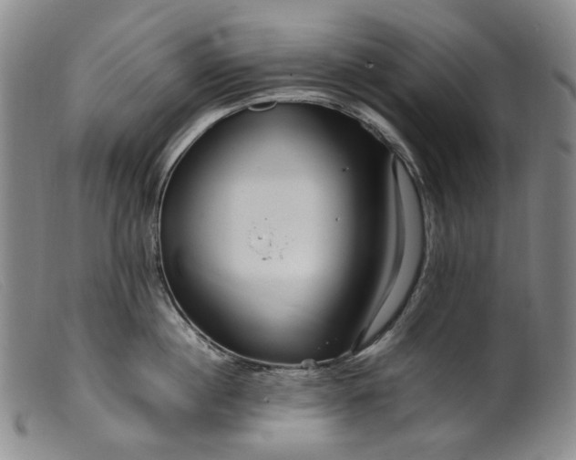 X0000099460860200805231804