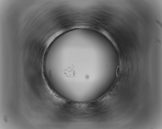 X0000099460861200805231805