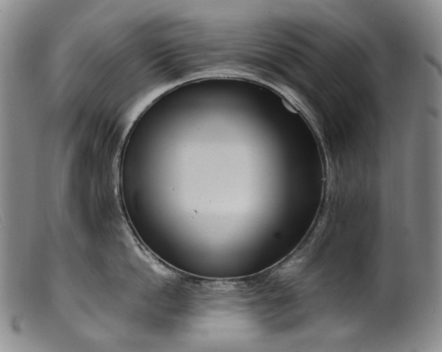 X0000099460862200805231805