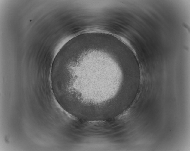 X0000099460863200805231805