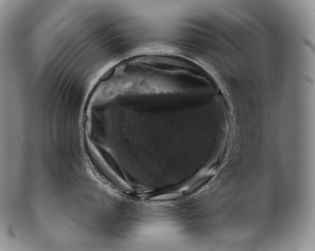 X0000099460864200805231805