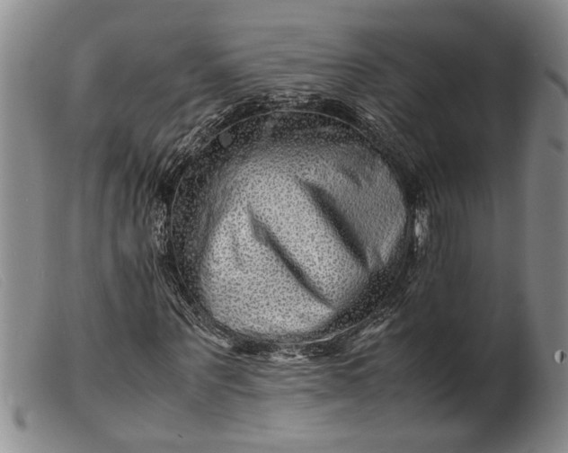 X0000099460867200805231804