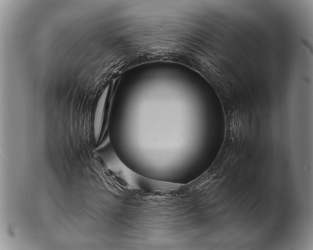 X0000099460868200805231804