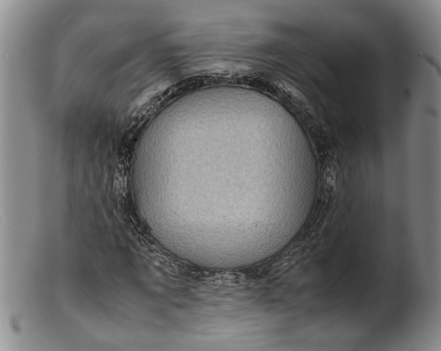 X0000099460869200805231804