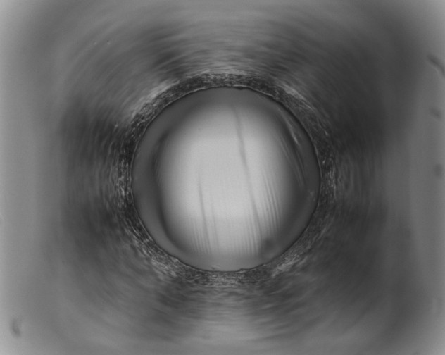 X0000099460870200805231804