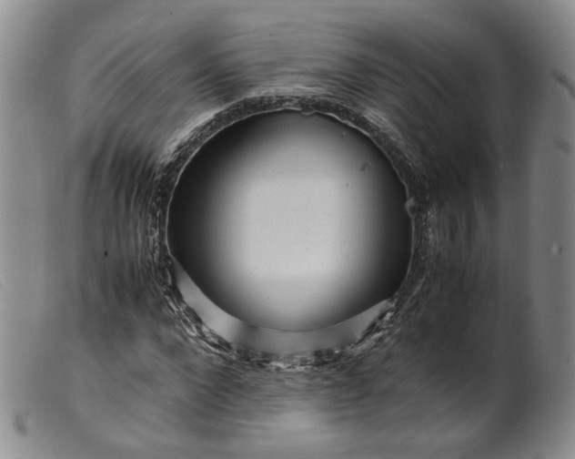 X0000099460872200805231804