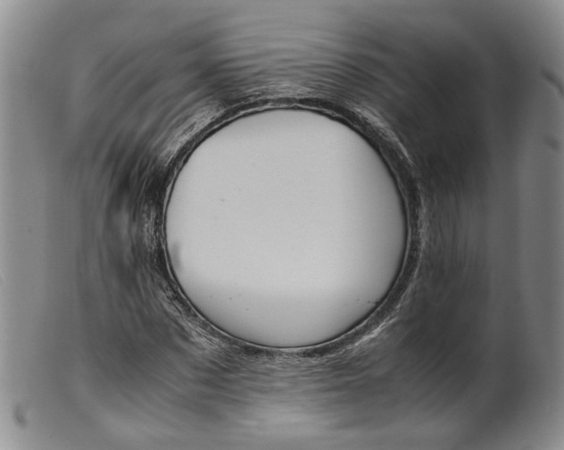 X0000099460873200805231804