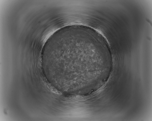 X0000099460879200805231804