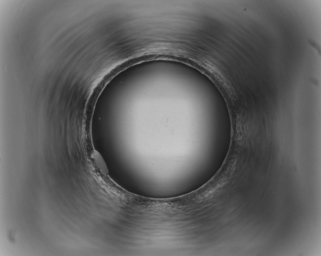 X0000099460880200805231804