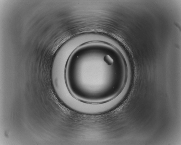 X0000099460881200805231804