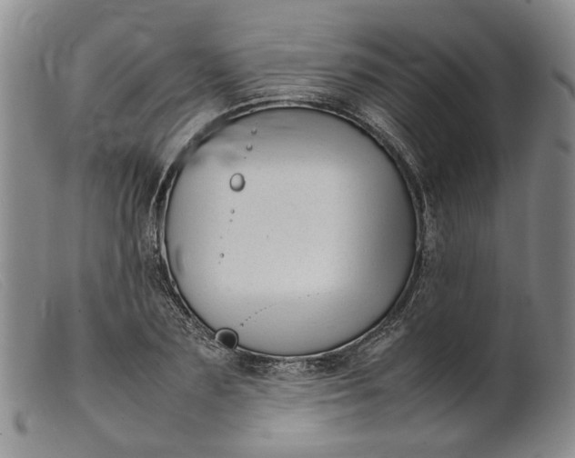 X0000099460883200805231804