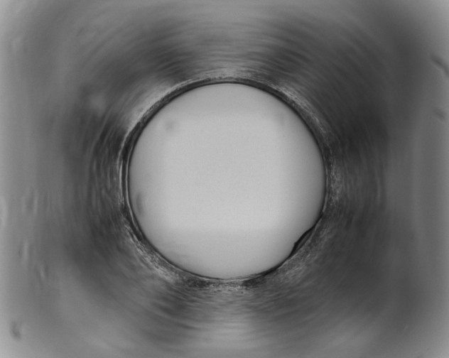 X0000099460886200805231804