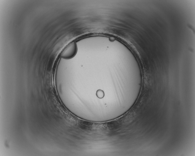 X0000099460887200805231804