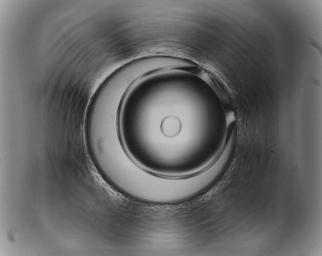 X0000099460888200805231804