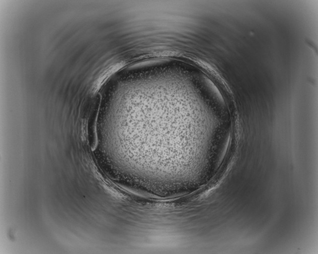 X0000099460889200805231804