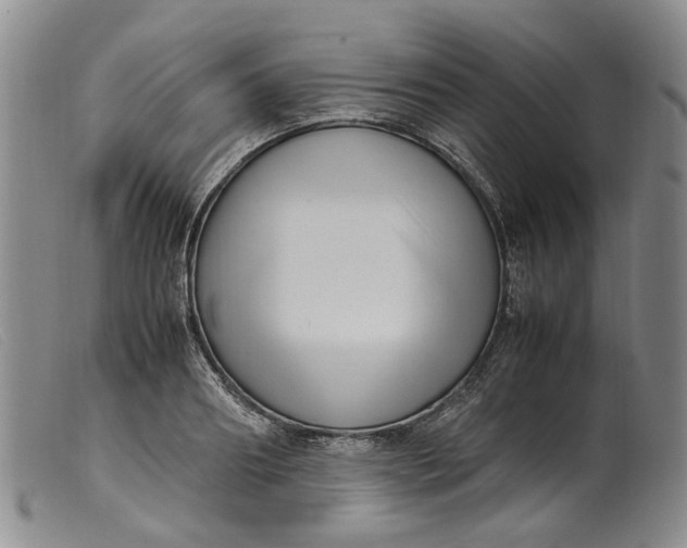 X0000099460890200805231804