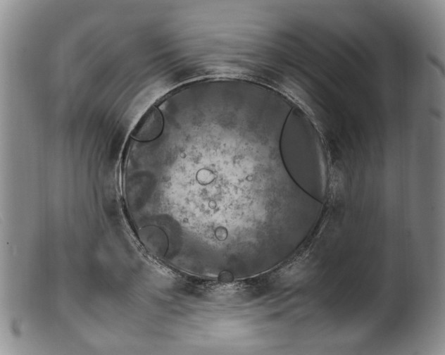 X0000099460891200805231803