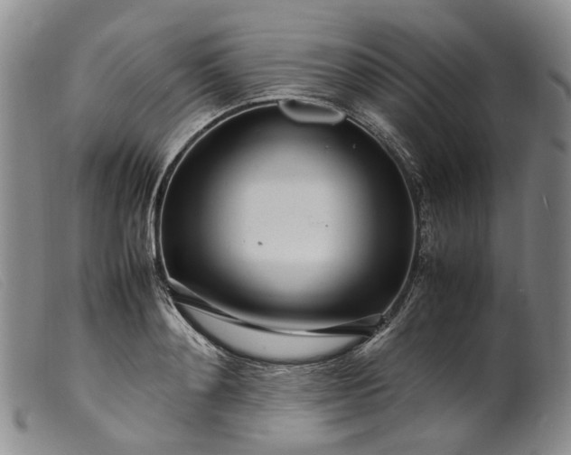 X0000099460892200805231803