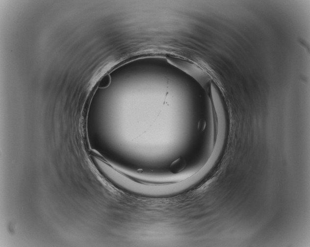 X0000099460893200805231803