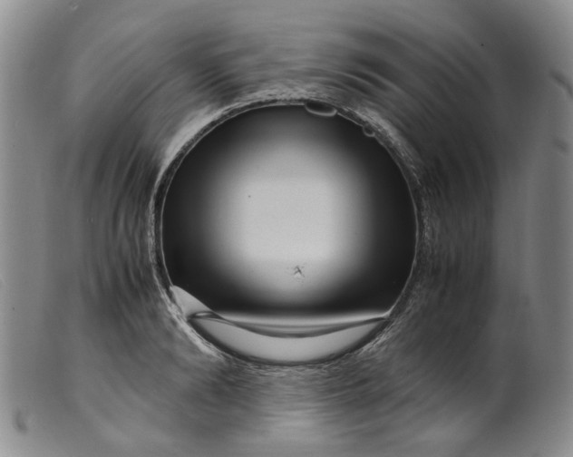 X0000099460894200805231803