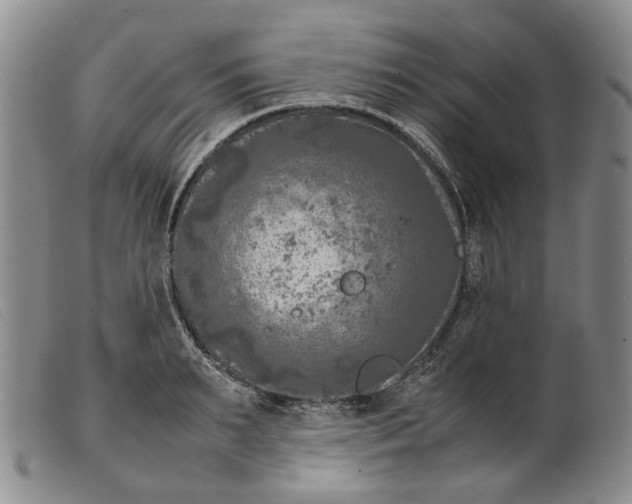 X0000099460895200805231803