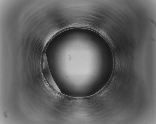 X0000099460896200805231803