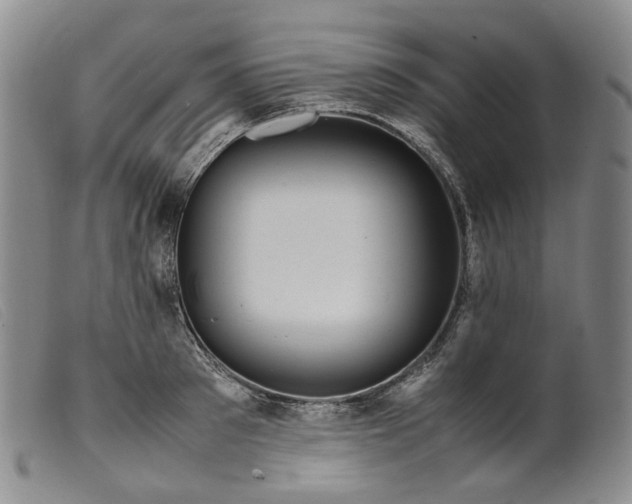 X0000099460897200805231803