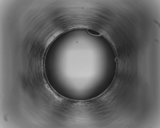 X0000099460898200805231803