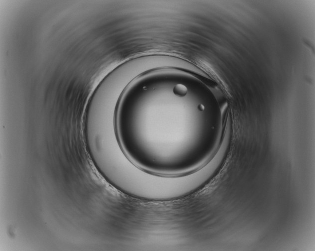 X0000099460900200805231803