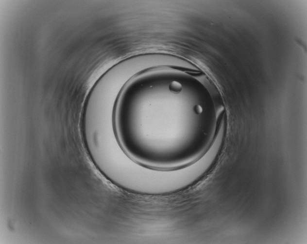 X0000099460901200805231803