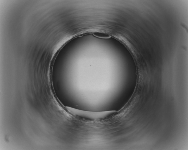 X0000099460902200805231803