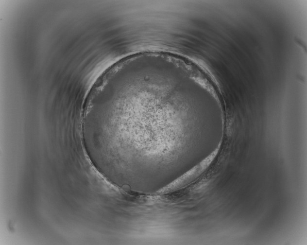 X0000099460903200805231803