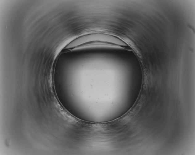 X0000099460904200805231803