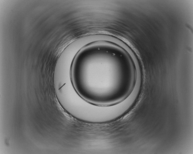 X0000099460905200805231803