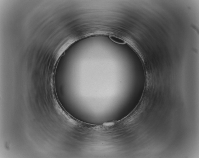 X0000099460906200805231803