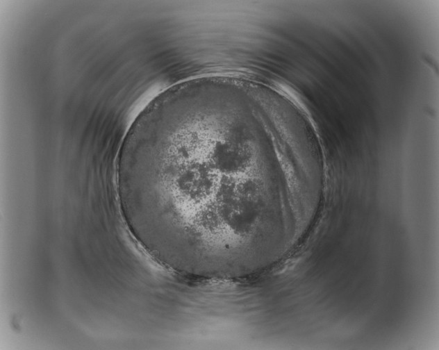 X0000099460907200805231803