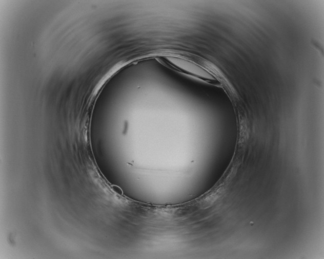 X0000099460908200805231803