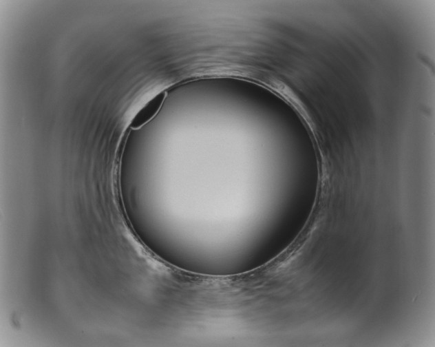 X0000099460909200805231803