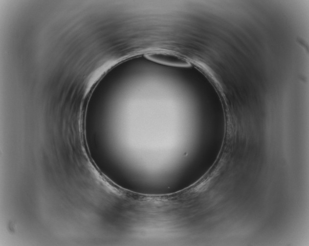 X0000099460910200805231803