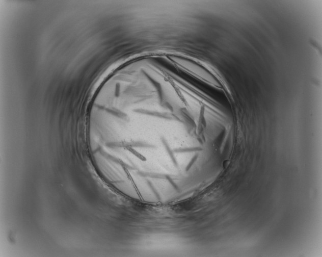 X0000099460911200805231803