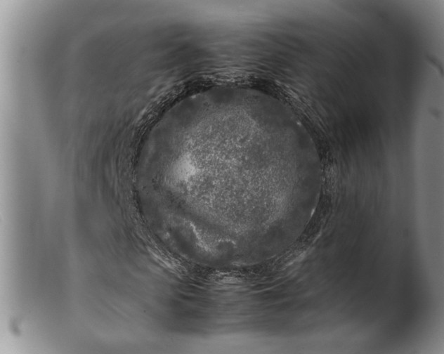 X0000099460913200805231802