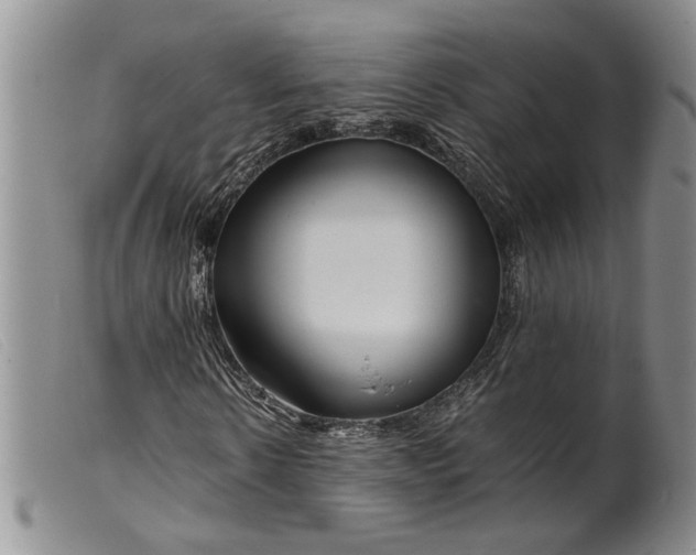 X0000099460914200805231802